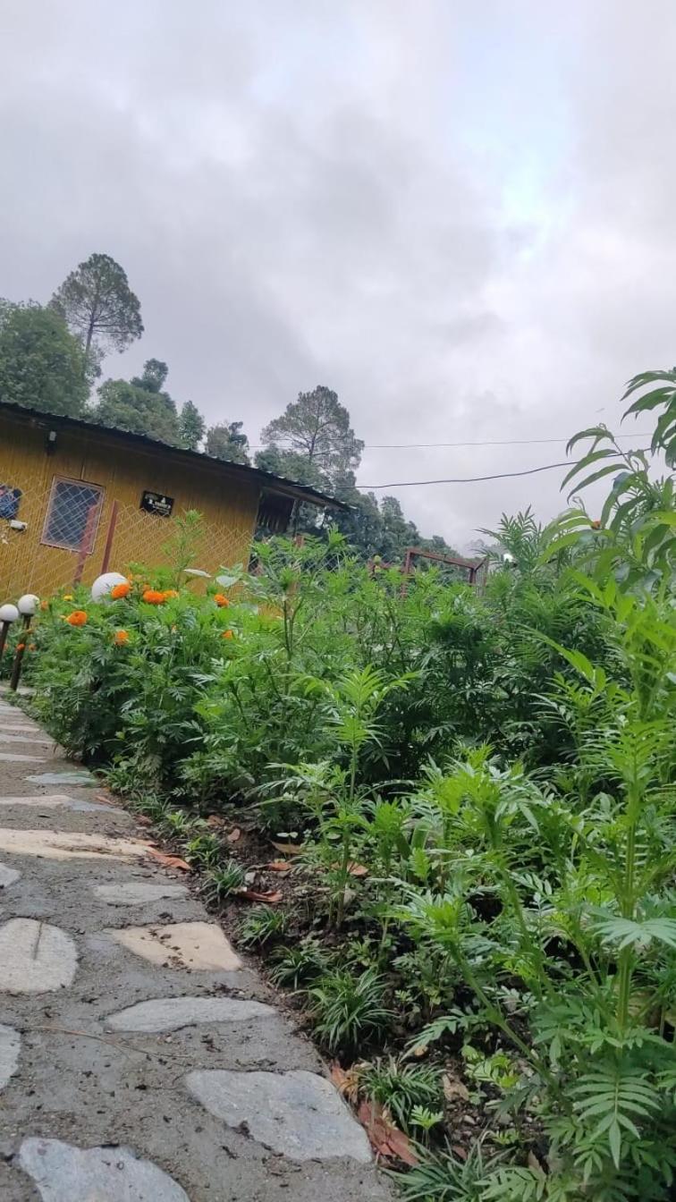 Krishna Kutir, Talla Ramgarh By The Meditating Society Ngoại thất bức ảnh